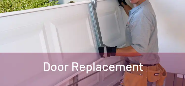  Door Replacement 
